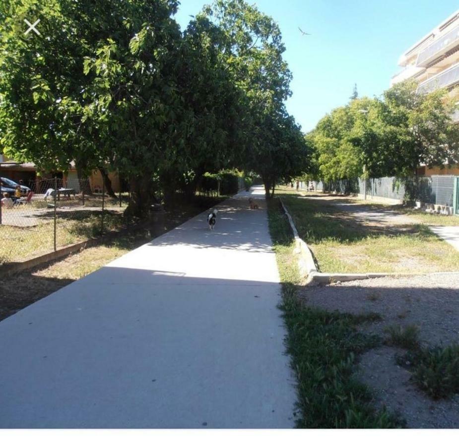 Résidence La Miougrano Appartement