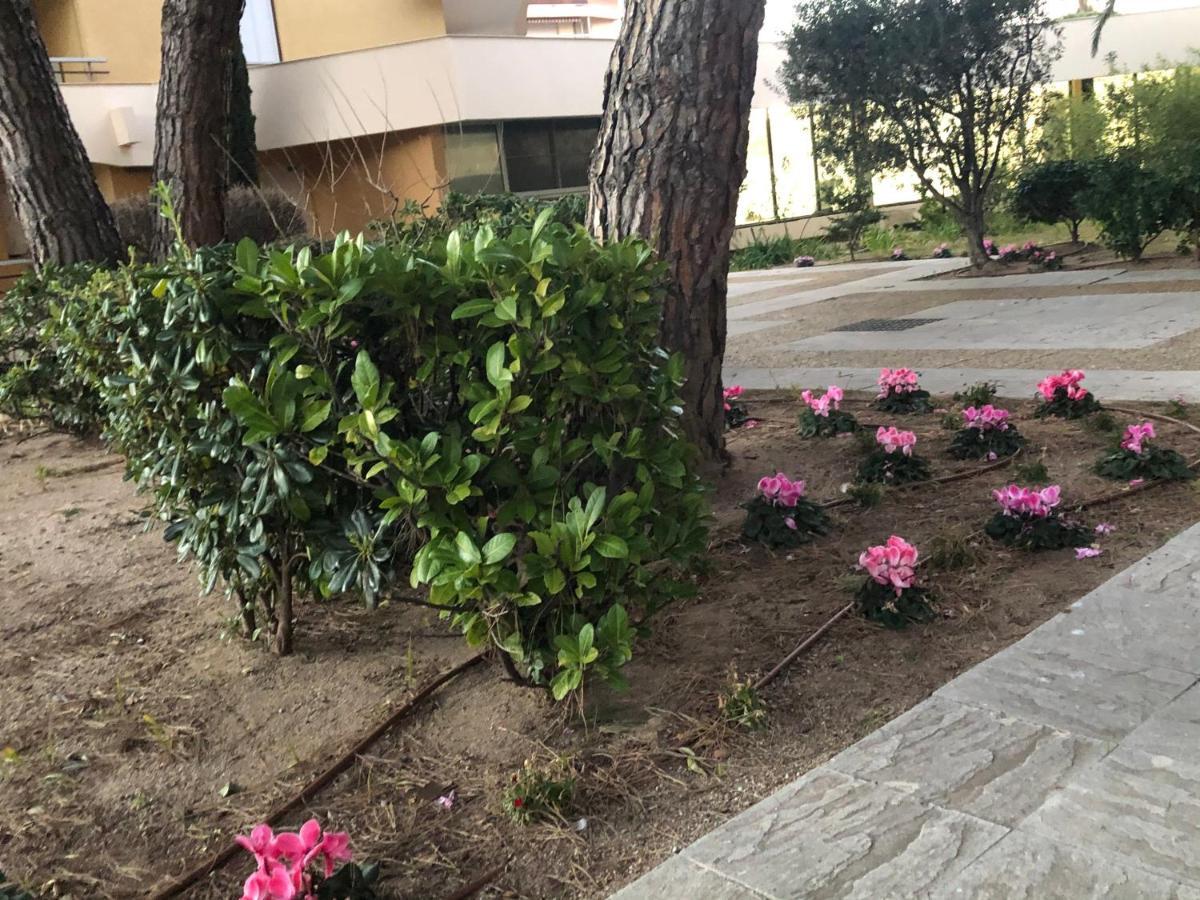 La Miougrano Apartment Fréjus